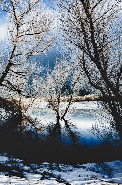 Bosque Evening Chill