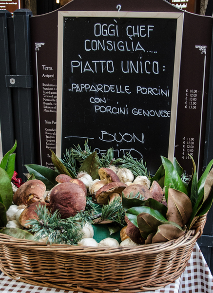 Porcini