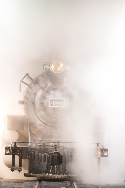 In the Mist
